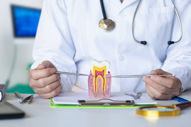 Best Broken or Chipped Tooth Repair in Mbrian Park, CA